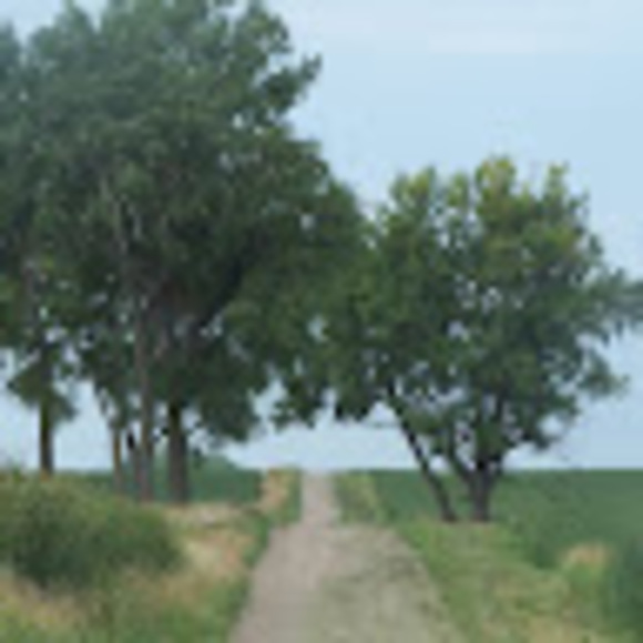 dustymoore208